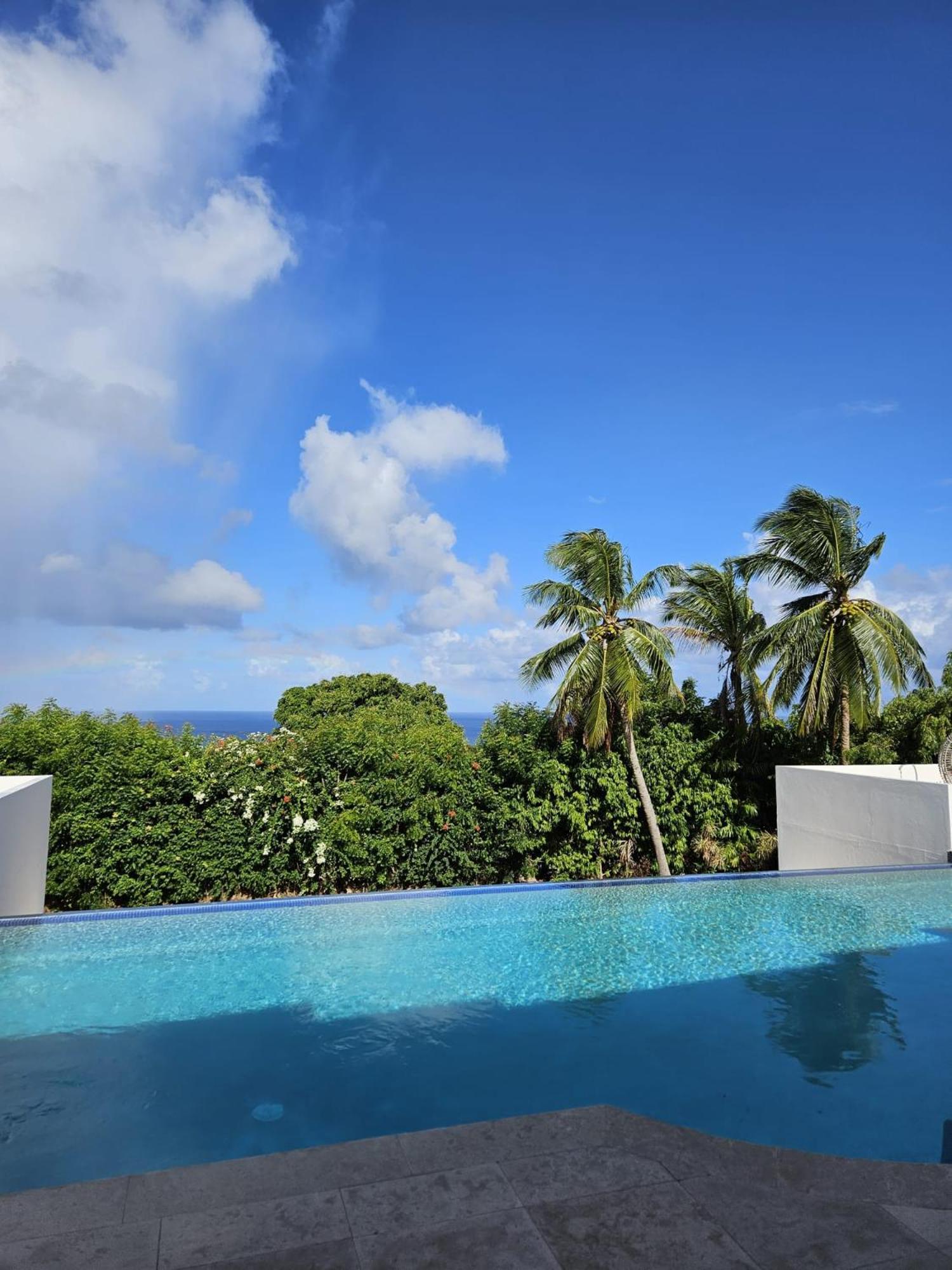 Purple Haze - Infinity Pool Holiday Home Minutes From The Island'S Best Beaches Saint James Eksteriør bilde